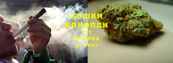 прущая мука Пересвет