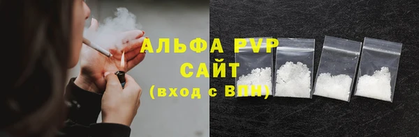 винт Ельня