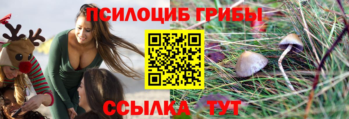 Галлюциногенные грибы мухоморы Кушва